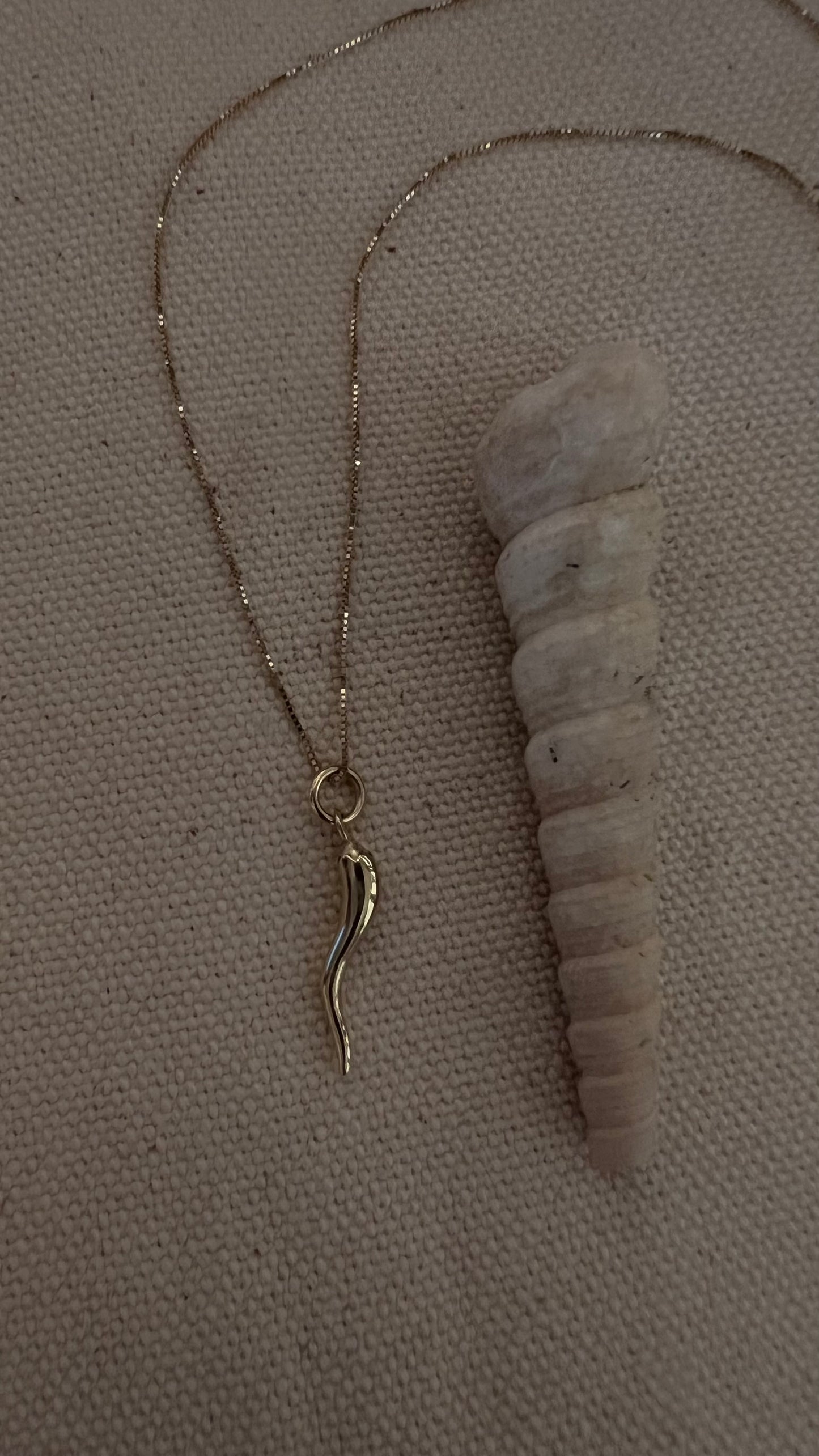 Chili Talisman