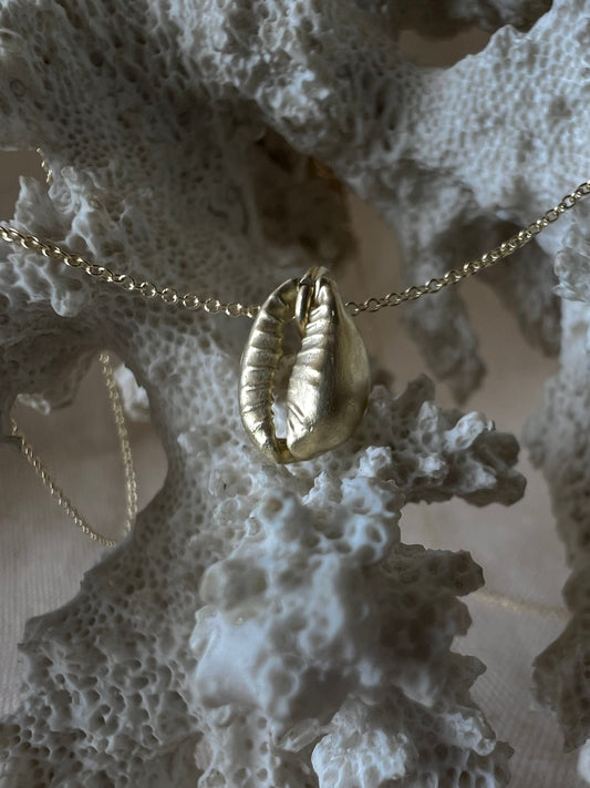 Baby cowrie seashell Gold