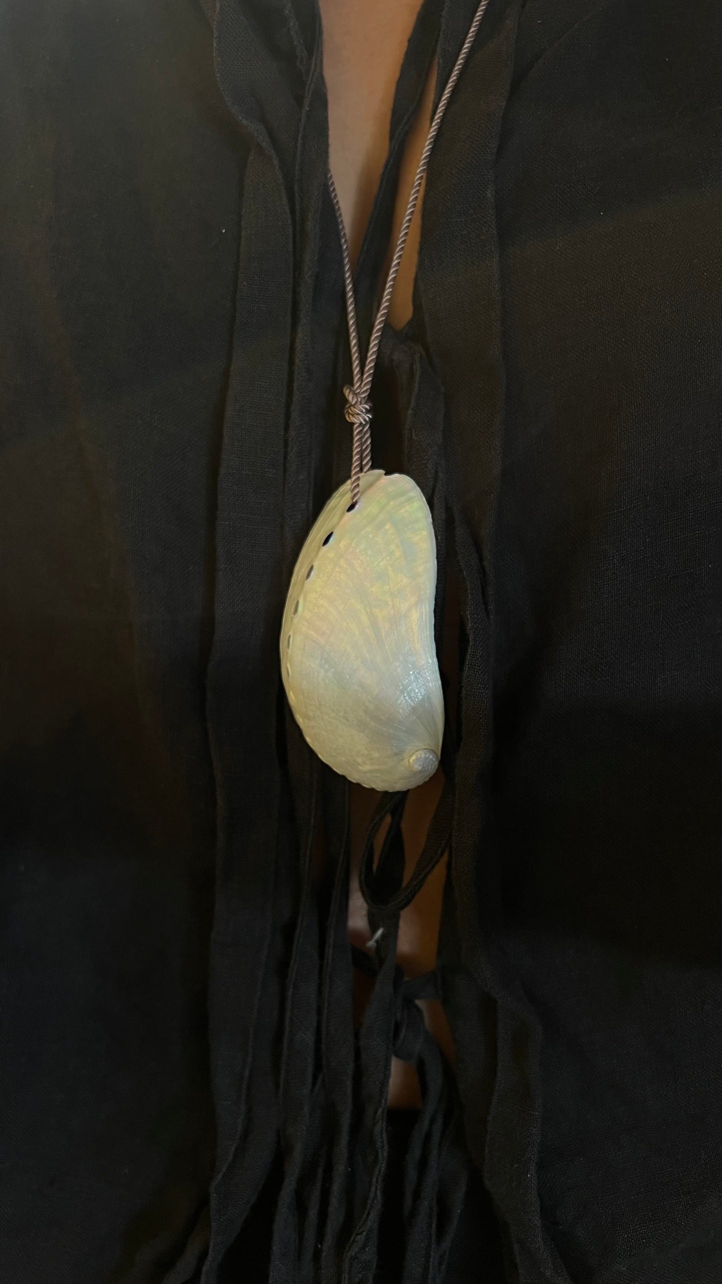 Abalone