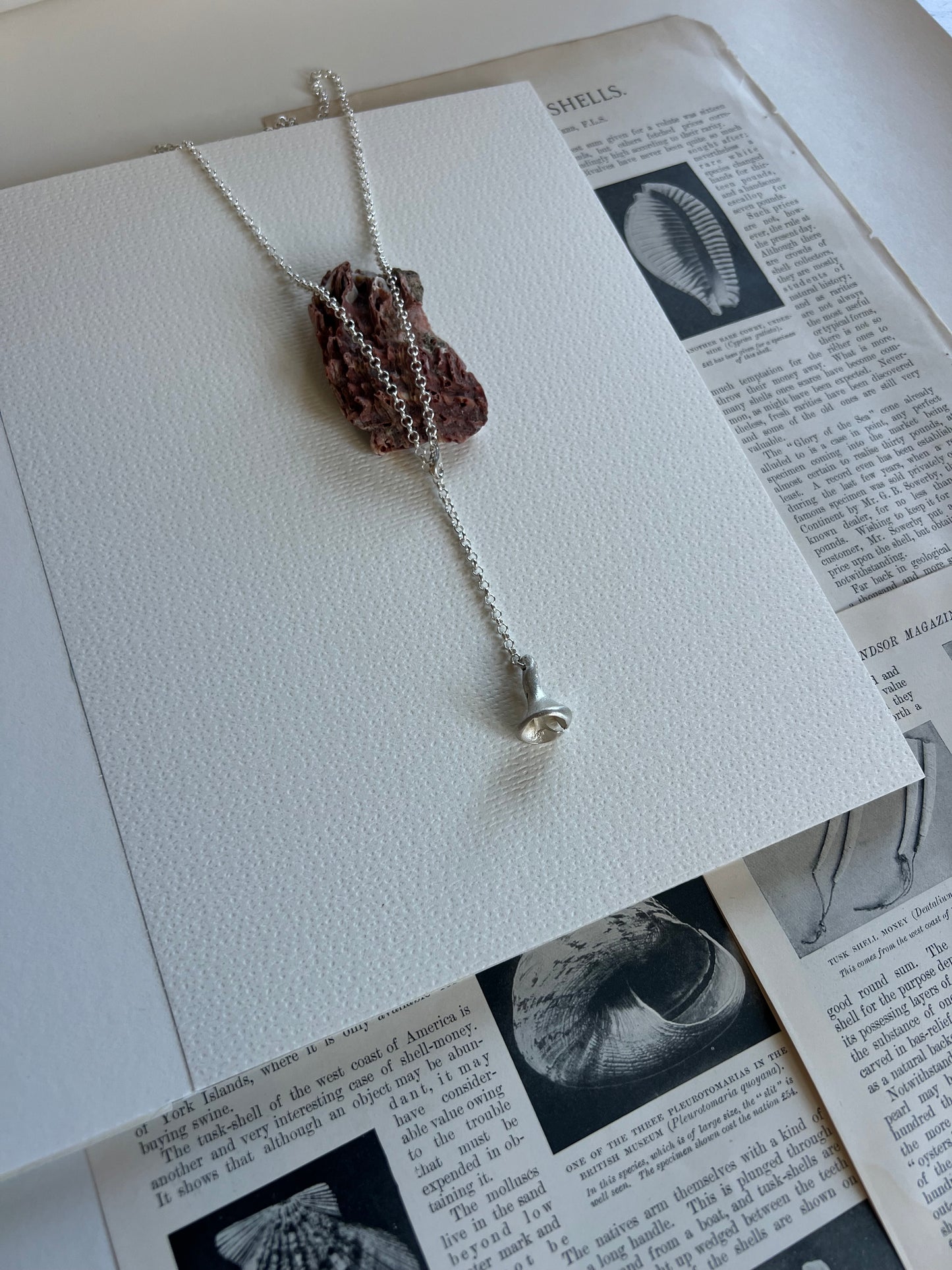 Azure shell No°15