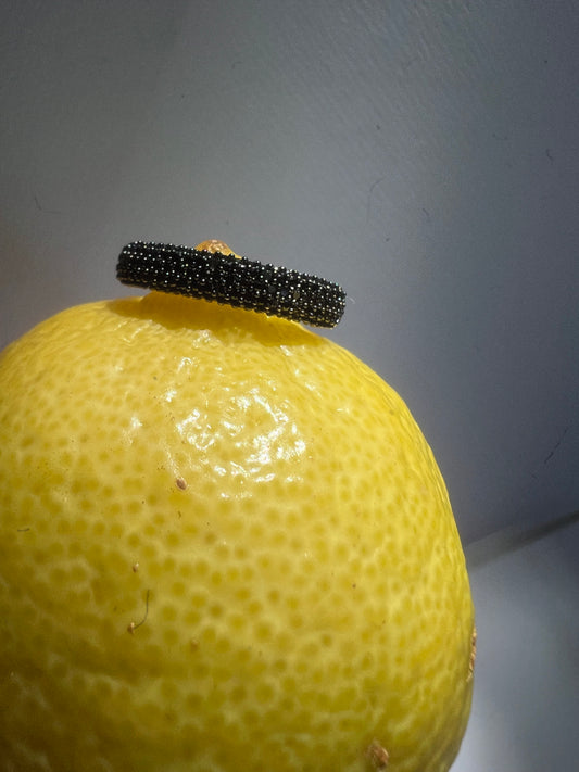 Black diamons Pave