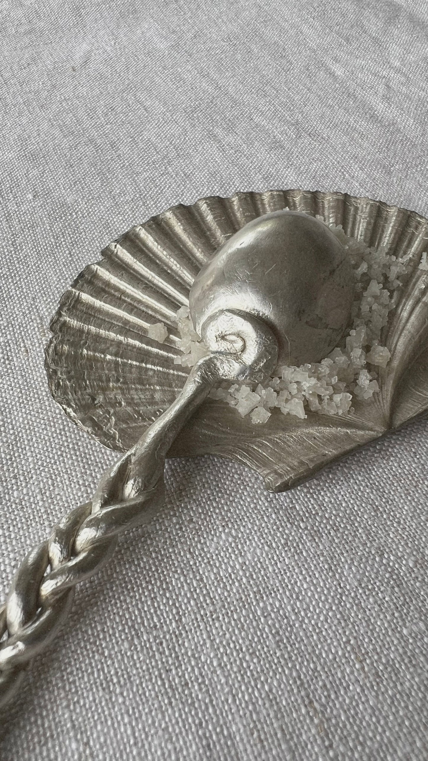 Silver Spoon
