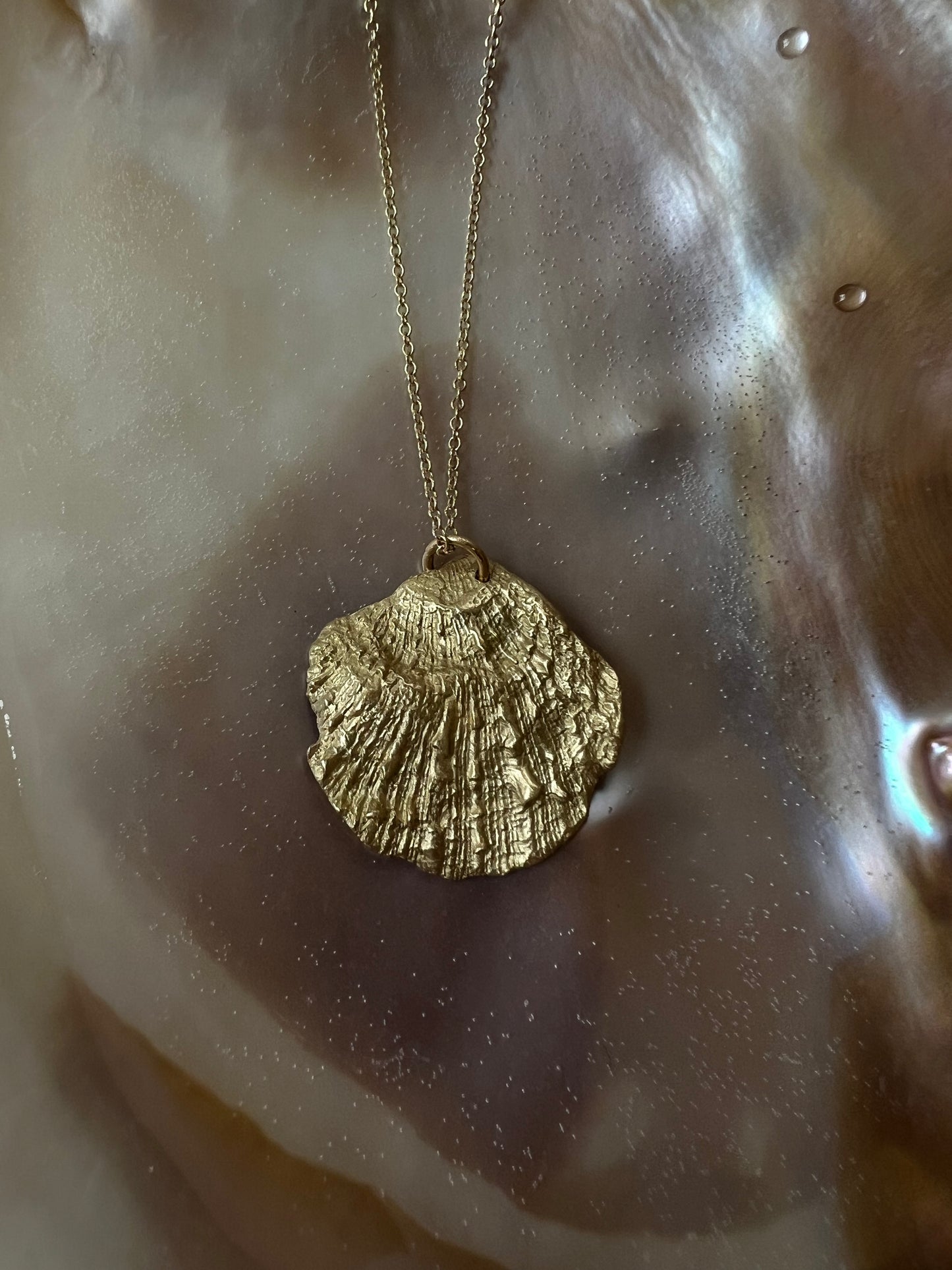 No°8 shell gold