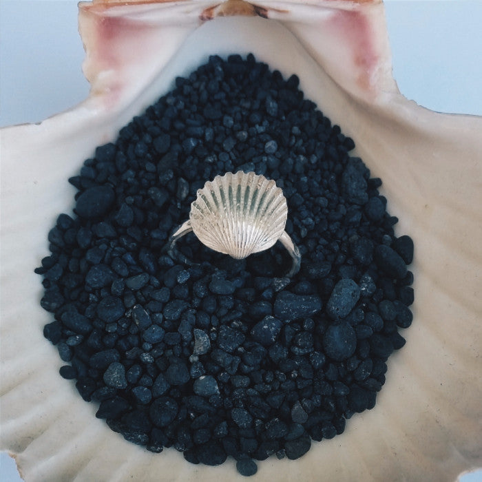 Israeli Seashell Ring