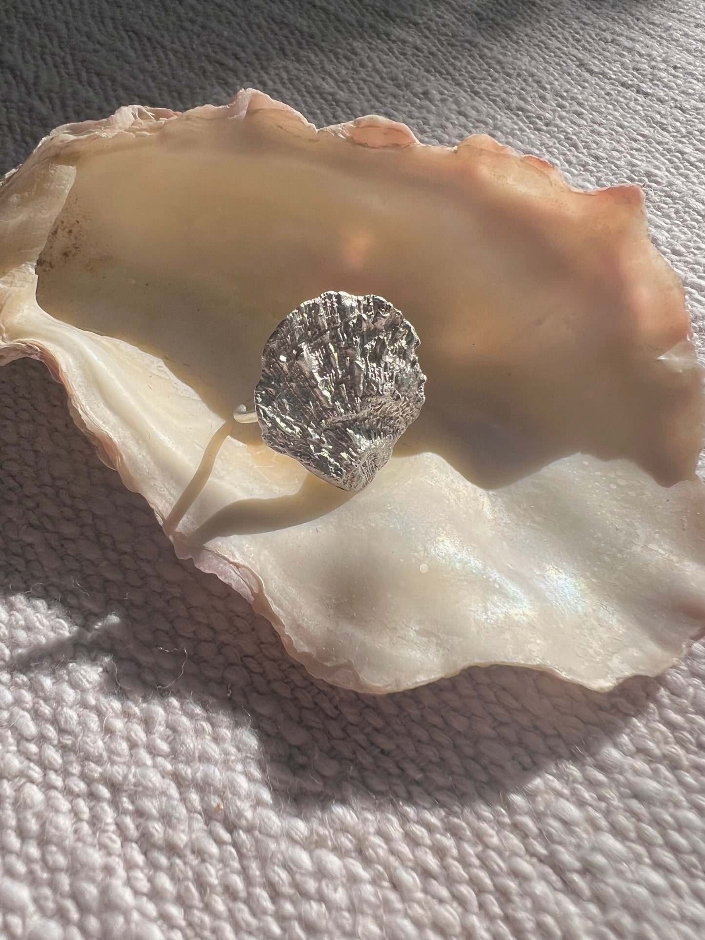 No°8 shell ring