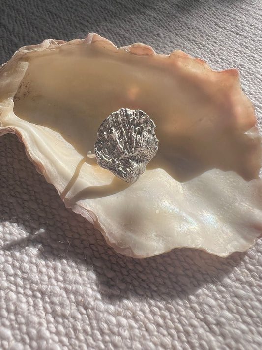 No°8 shell ring