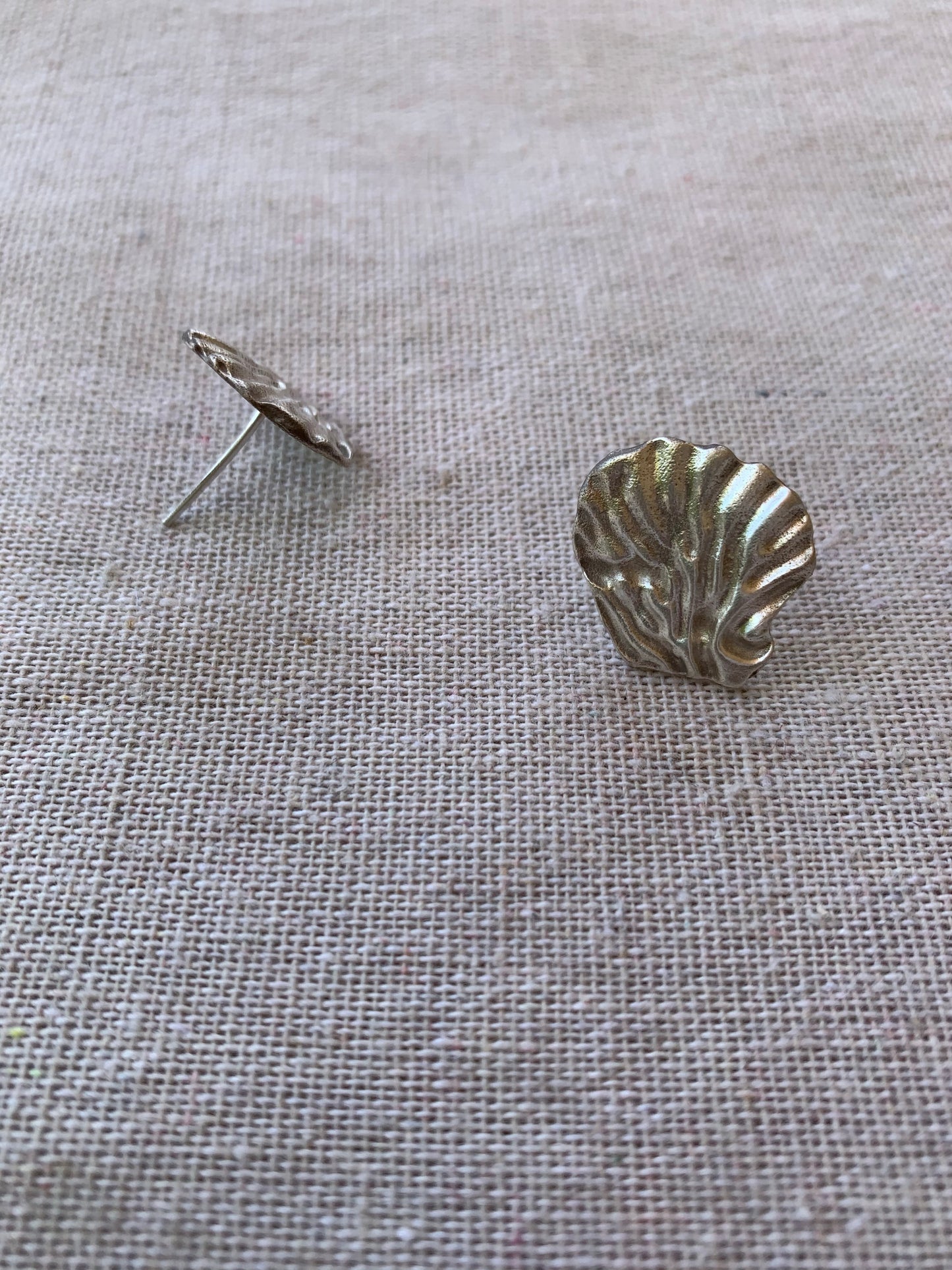 Fossil earrings