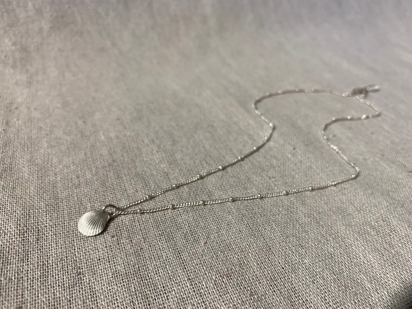 Naama seashell necklace