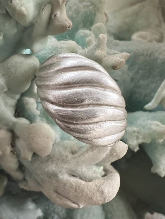 Shell Ring