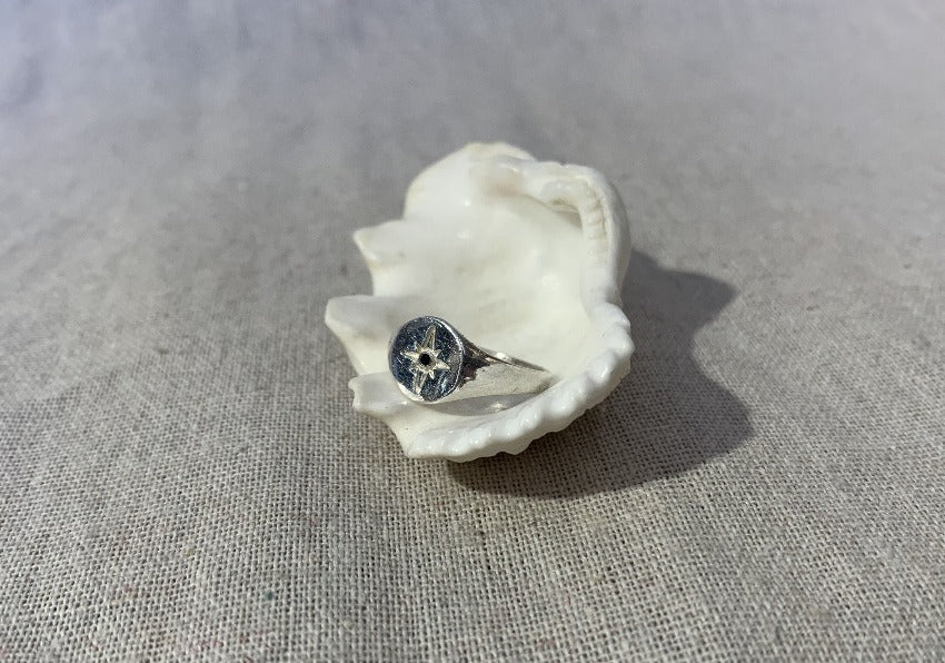 The Northern star with onyx stone