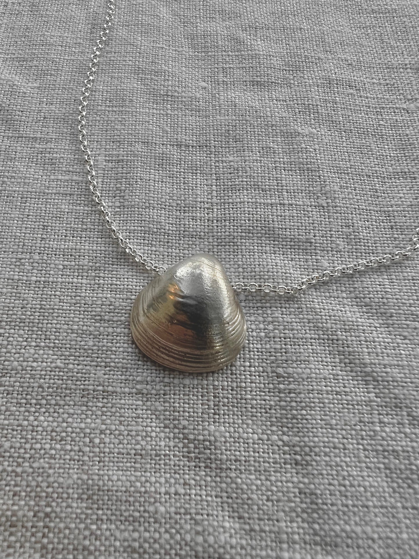No°7 shell