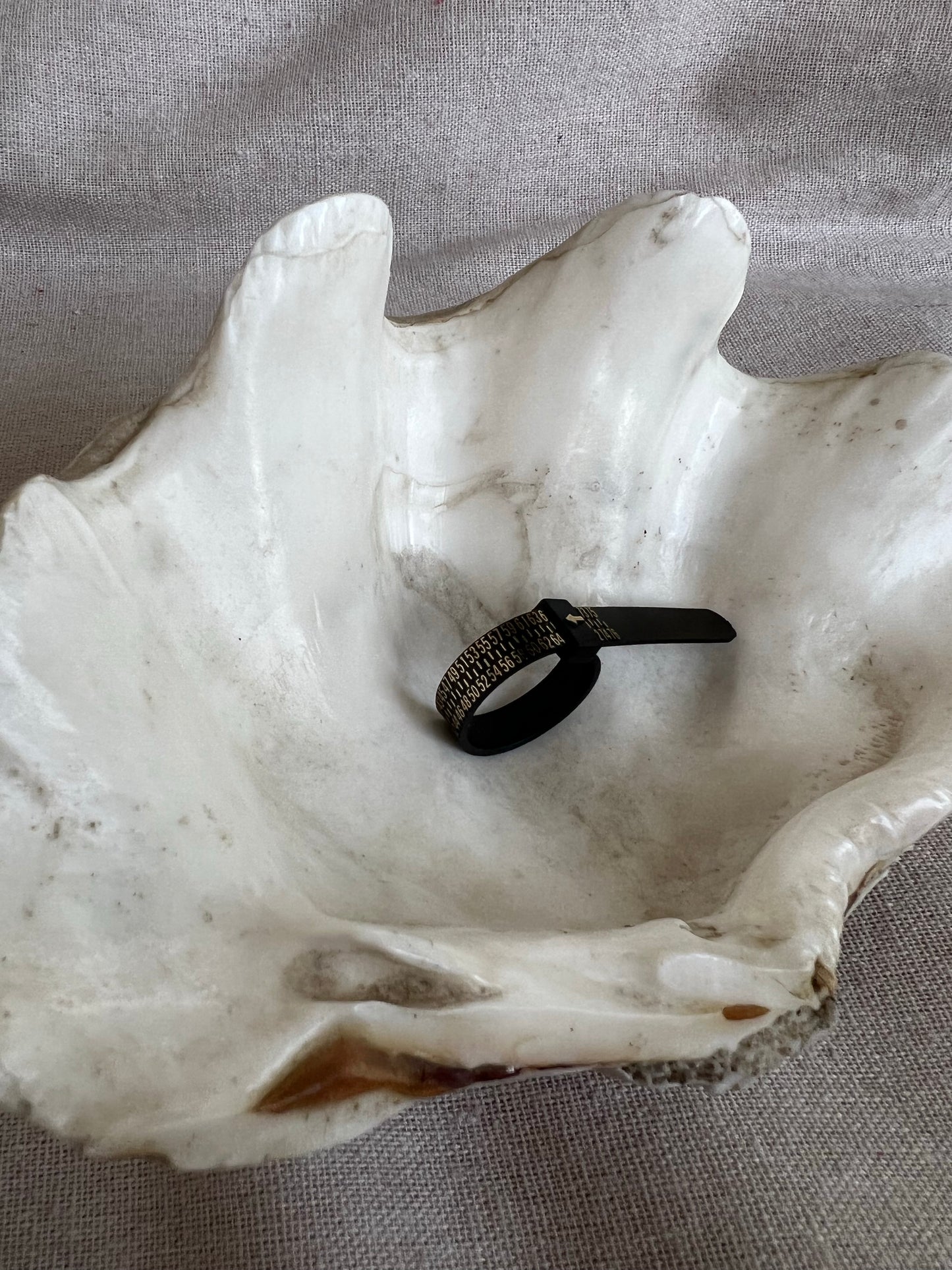 Ring sizer