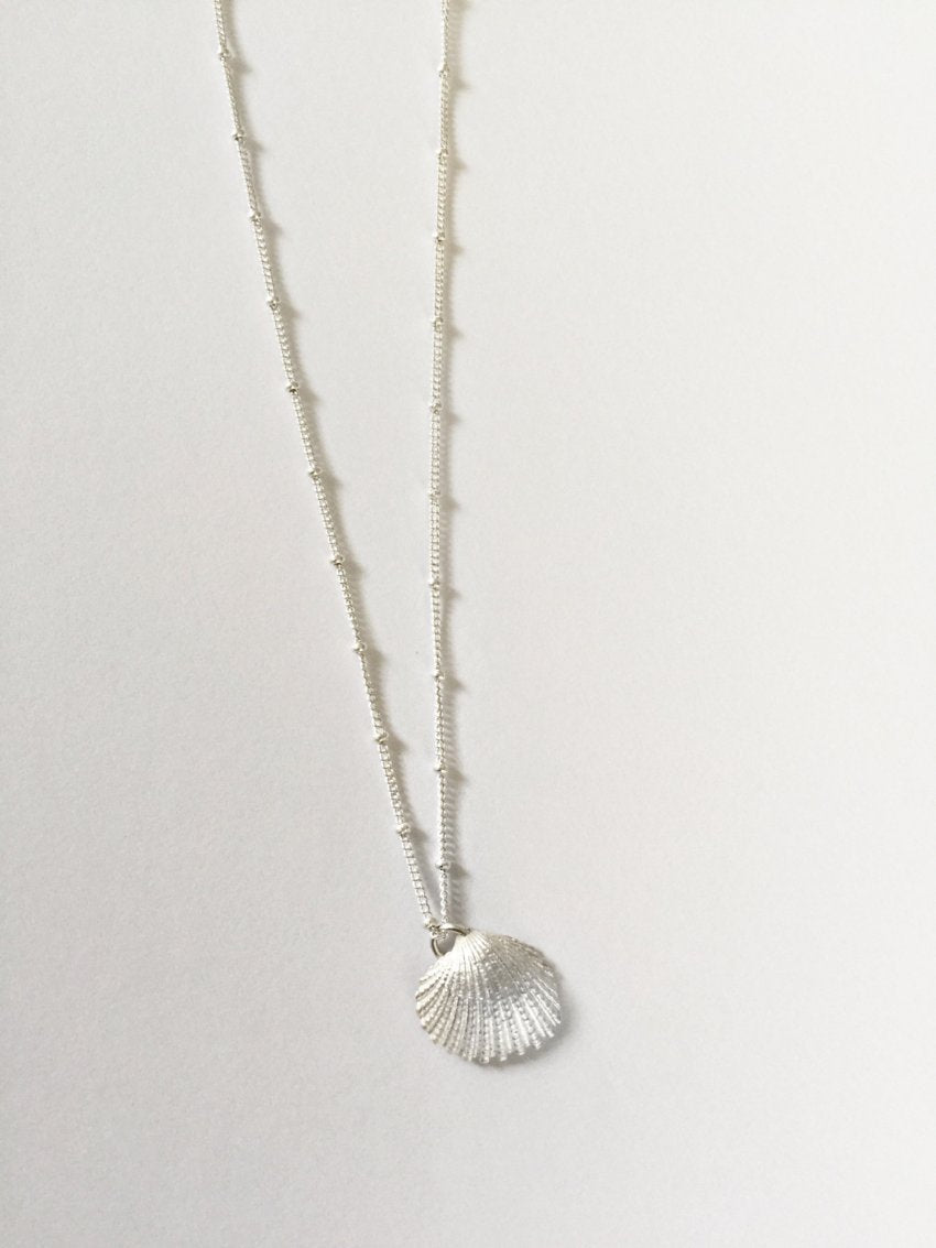 LIO seashell M/L