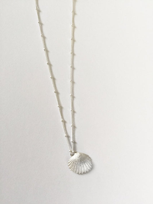 LIO seashell M/L