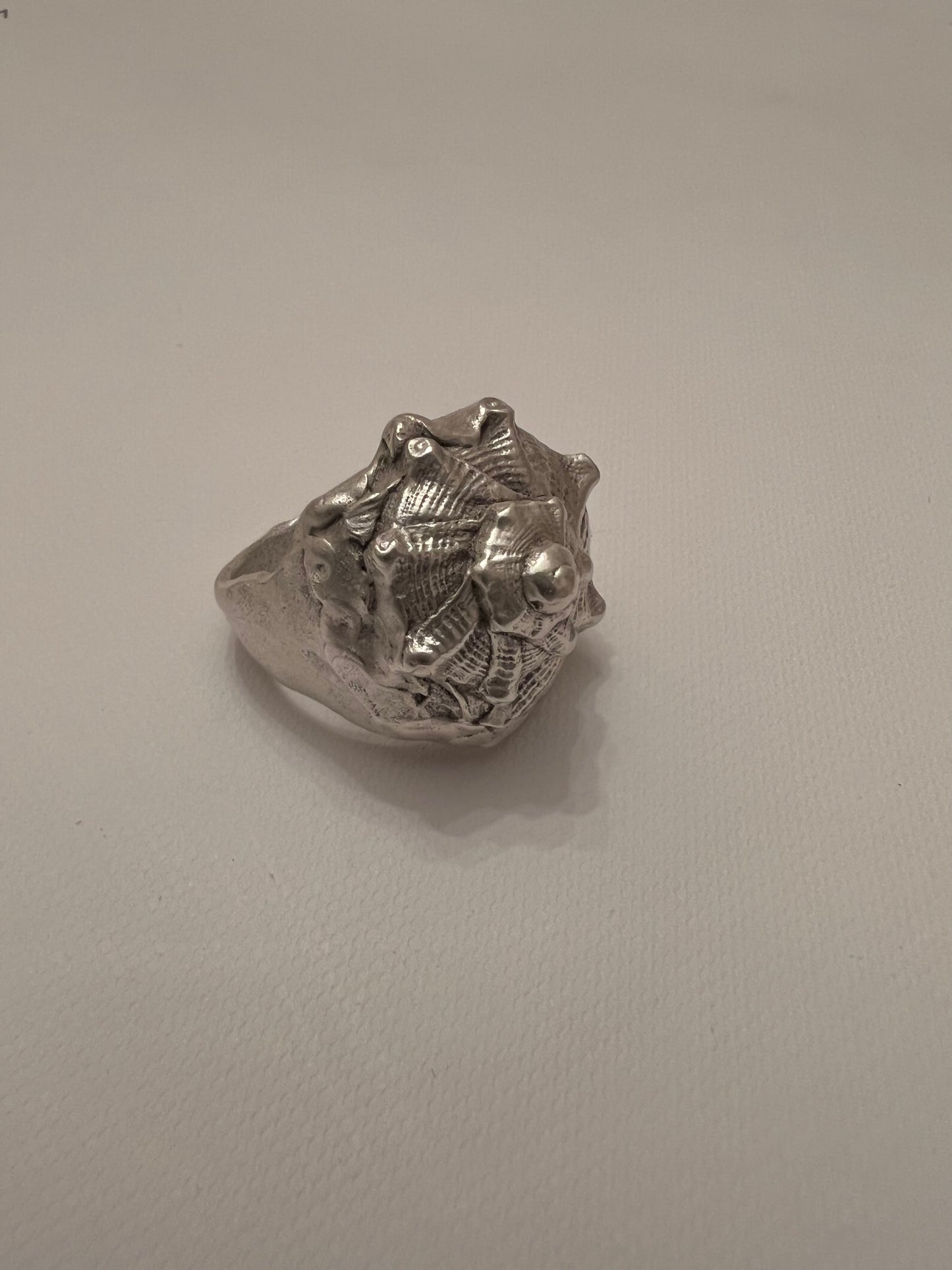 No°6 shell Ring