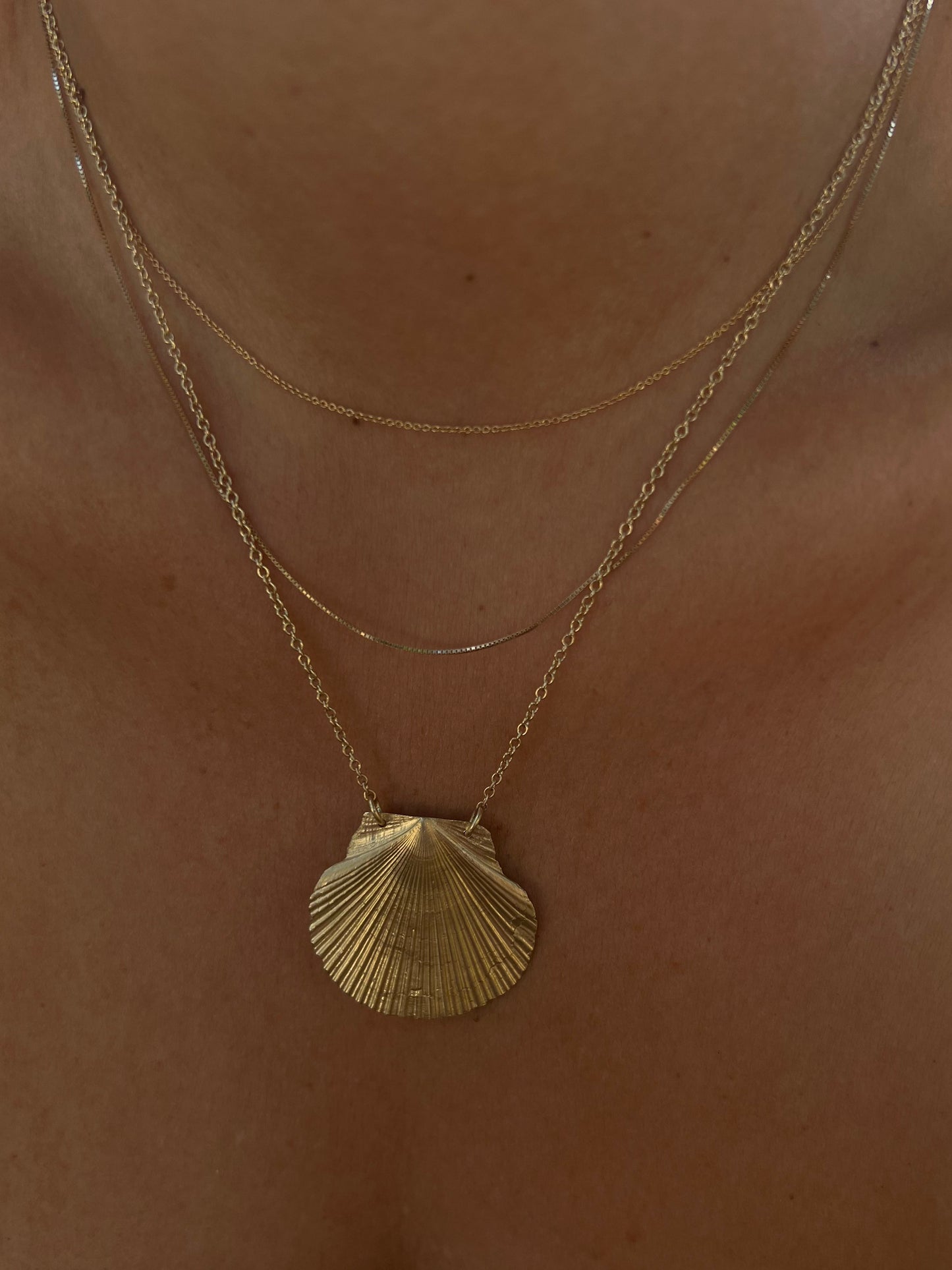 Mexican Seashell- Gold