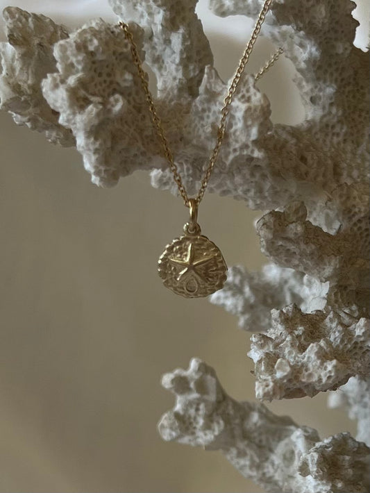 The sea cookie -gold