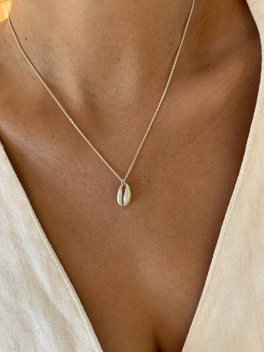 Cowrie Seashell