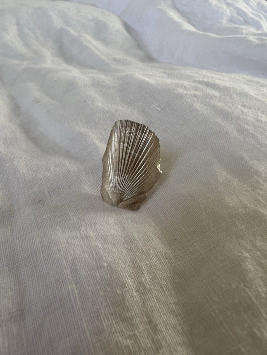 Queen Mexican Seashell