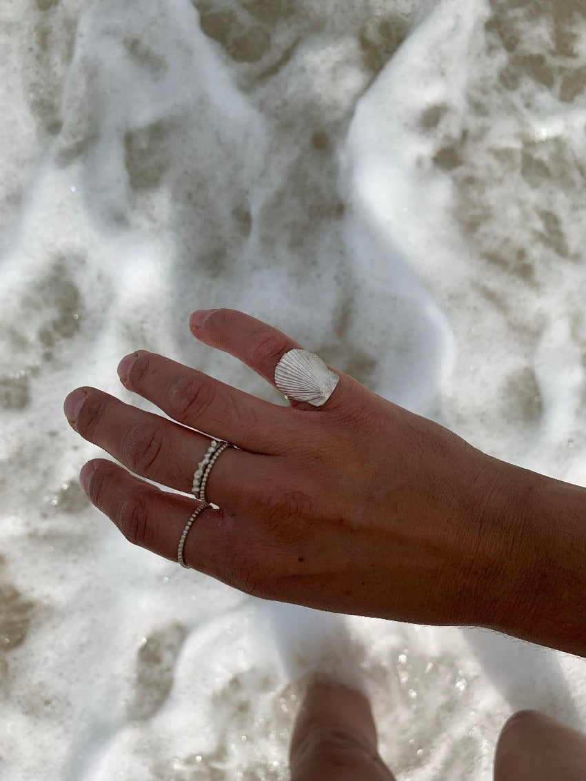 Baby Mexican Seashell
