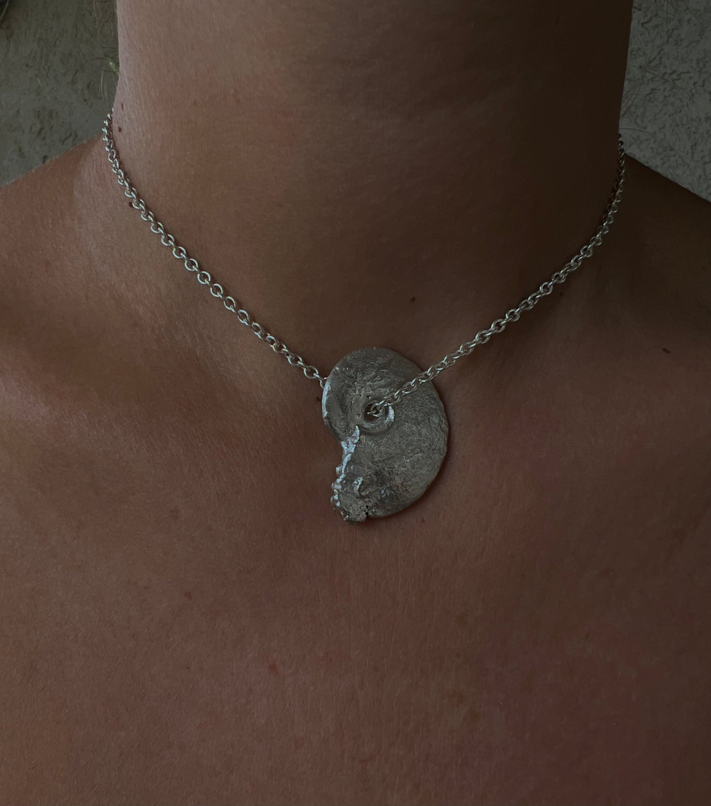 No°11 Nautilus