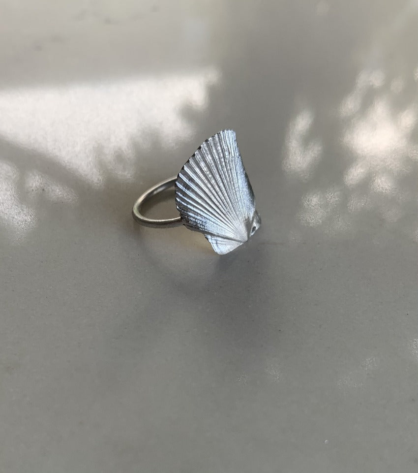 Baby Mexican Seashell