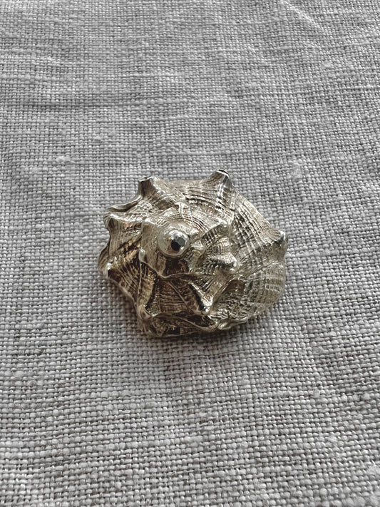 No°6 shell