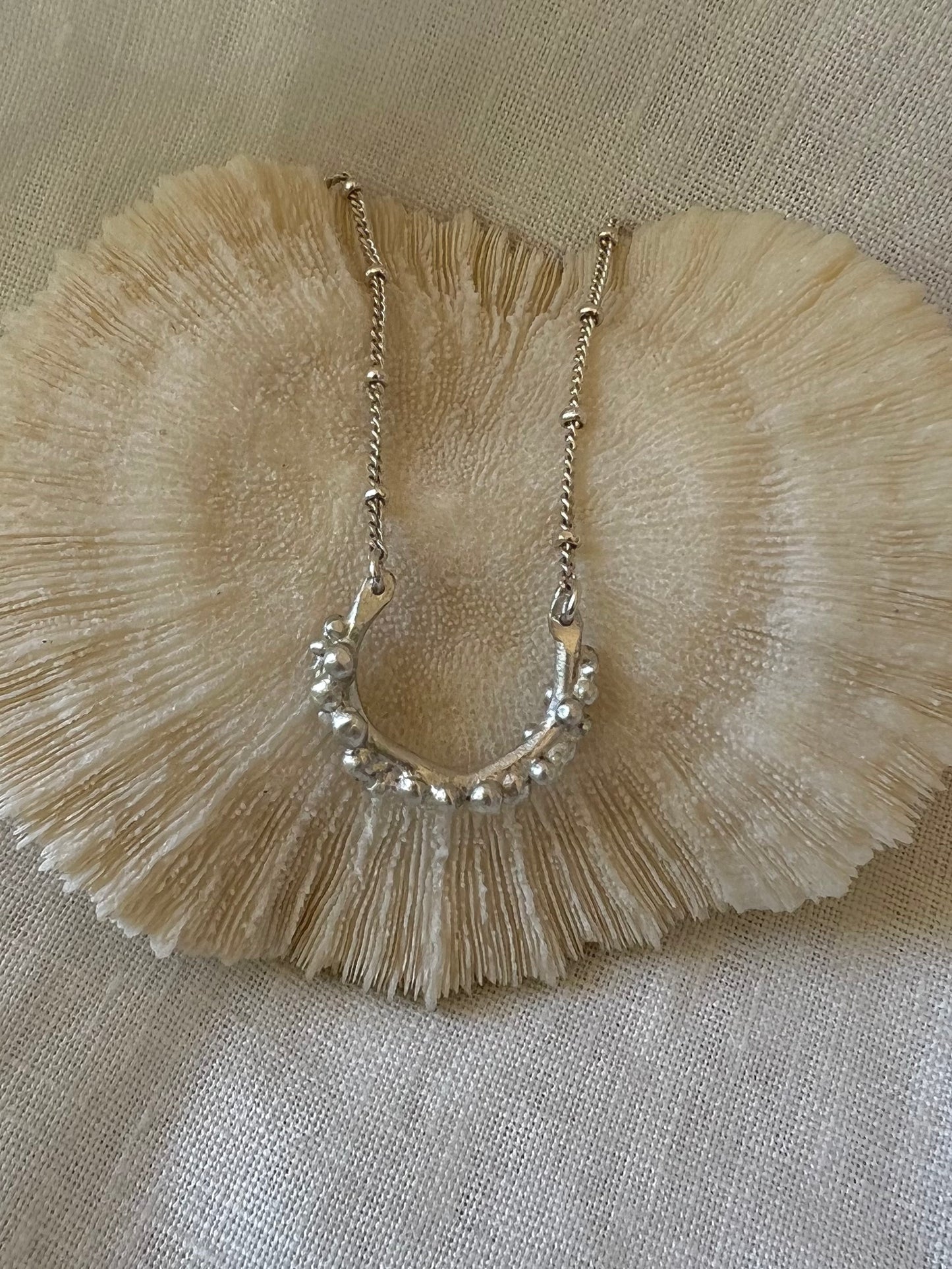 The Salty Necklace