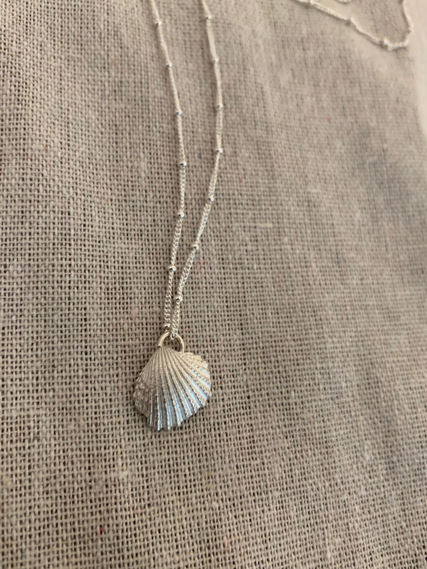 LIO Small Raw Seashell