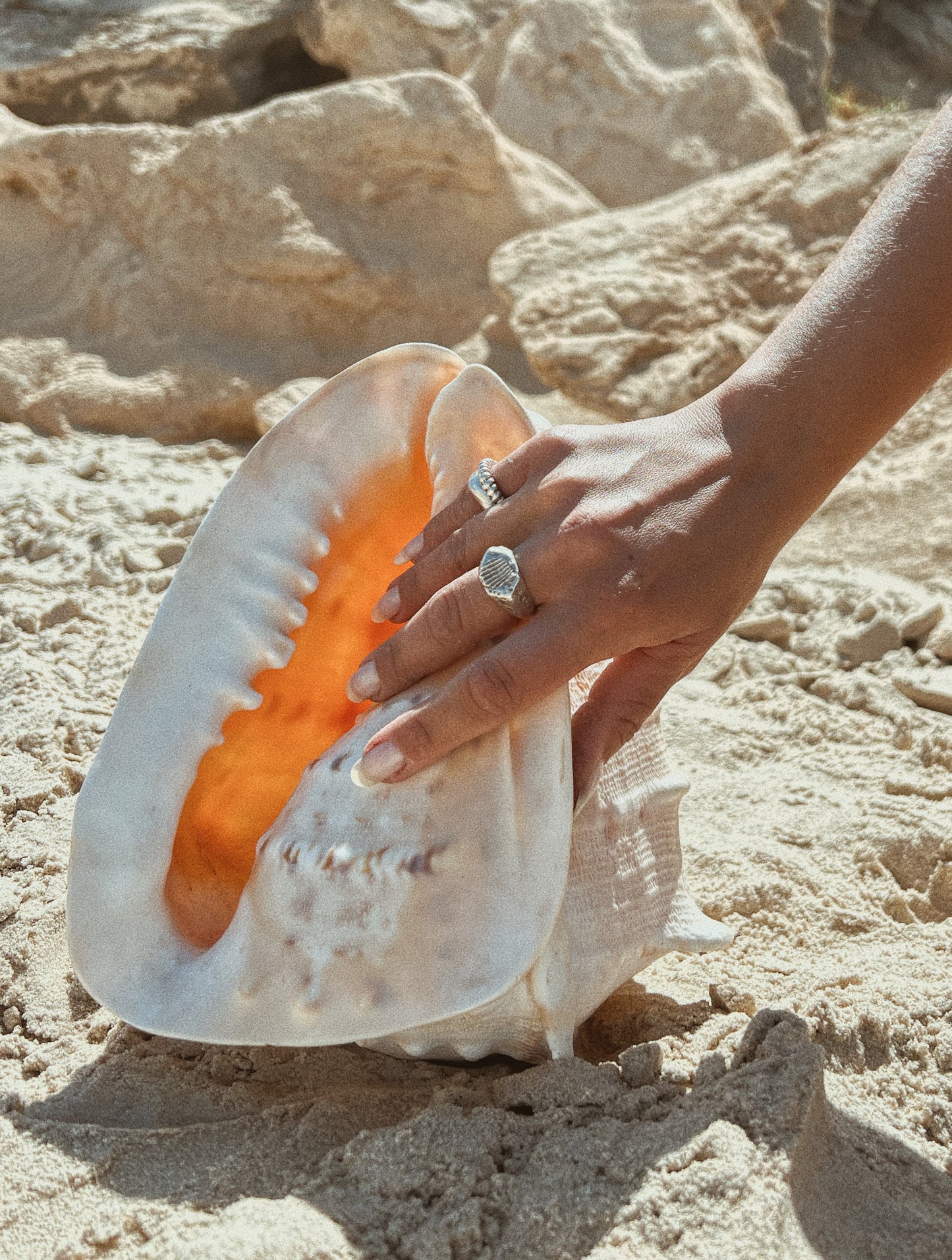 Pattern shell Ring