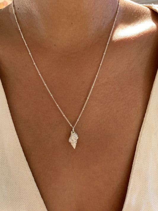 Neptune Seashell Necklace