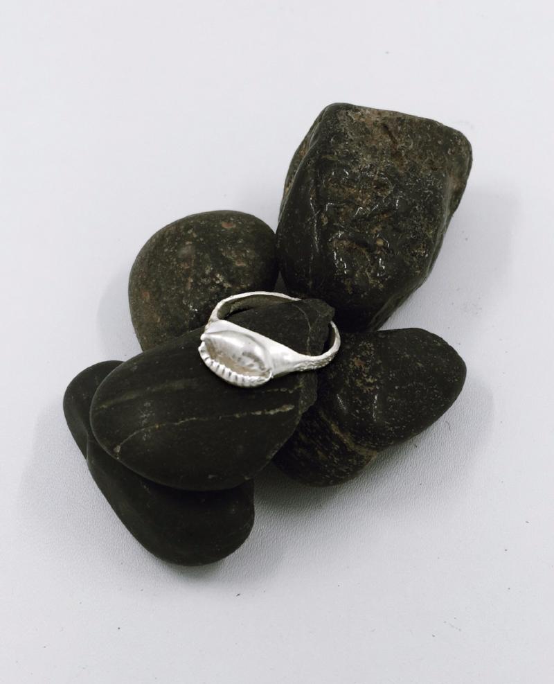 Raw cowrie seashell ring