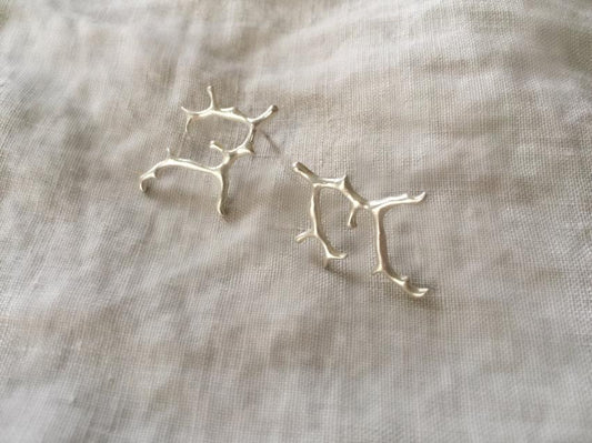 Coral earrings