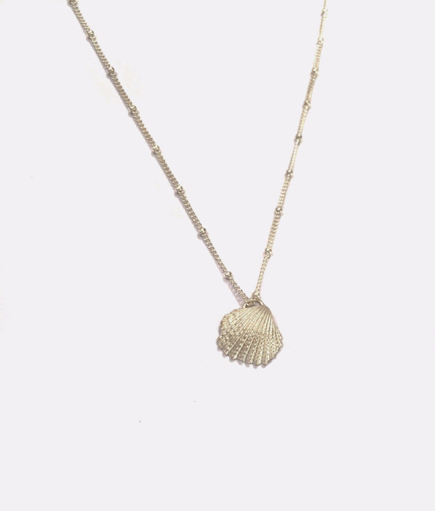 LIO Small Raw Seashell