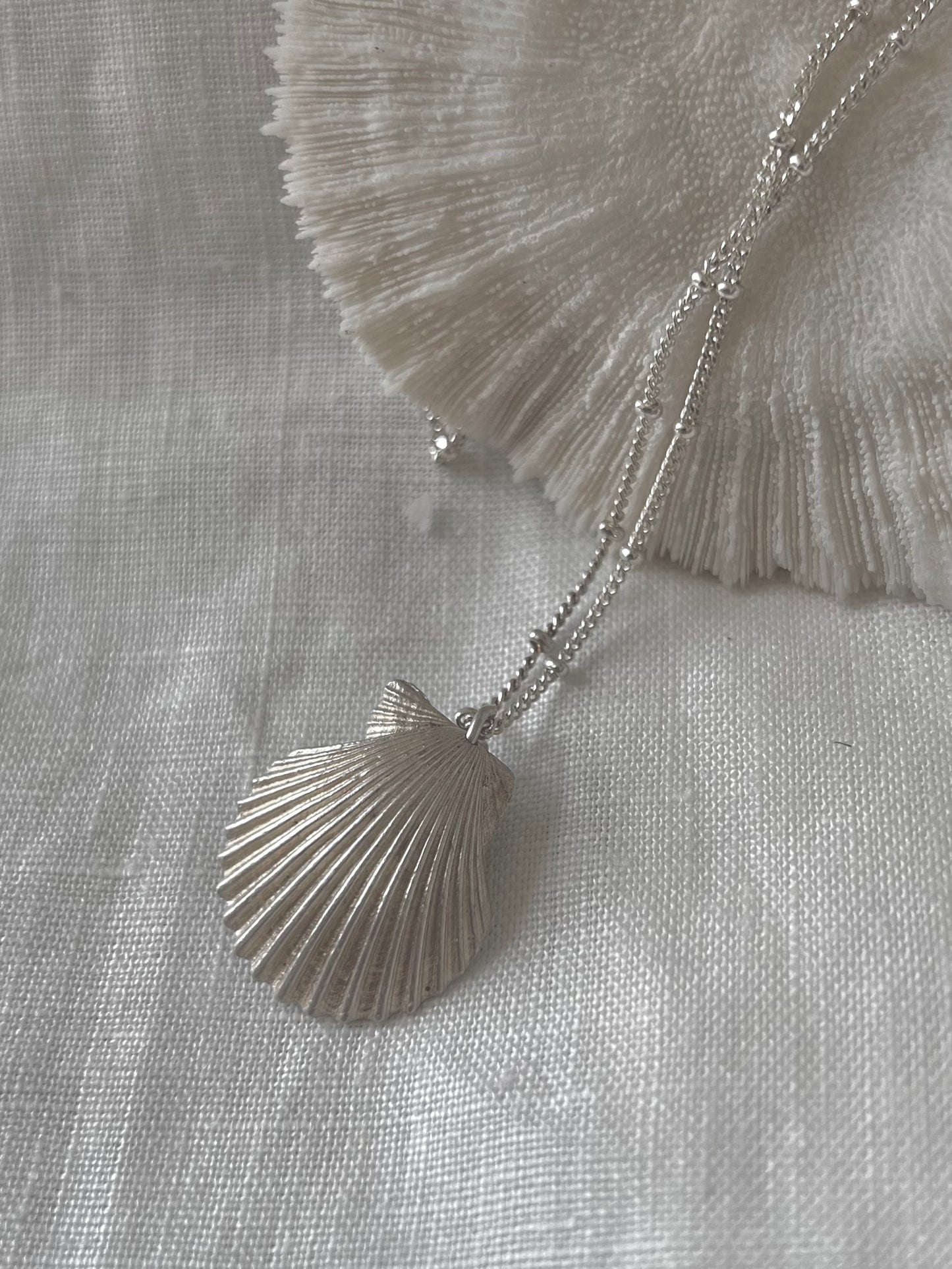 Pearl & Seashell