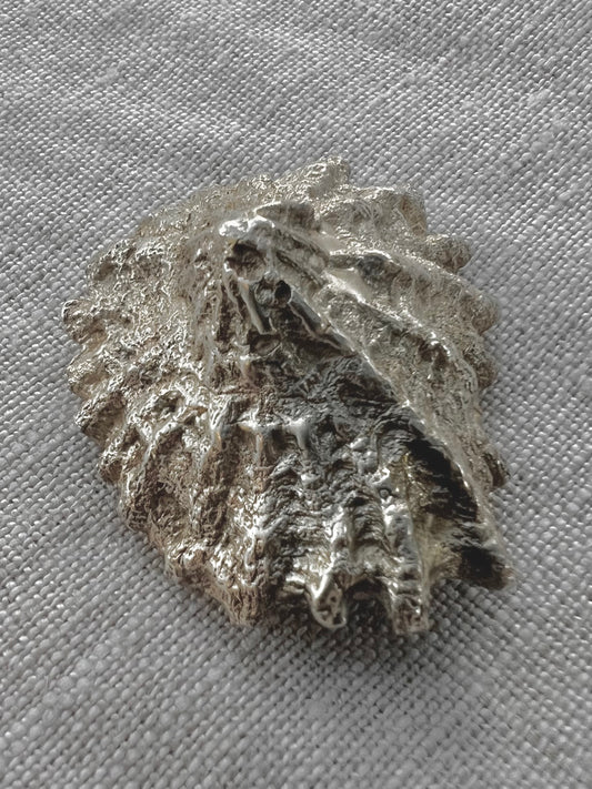No°4 shell