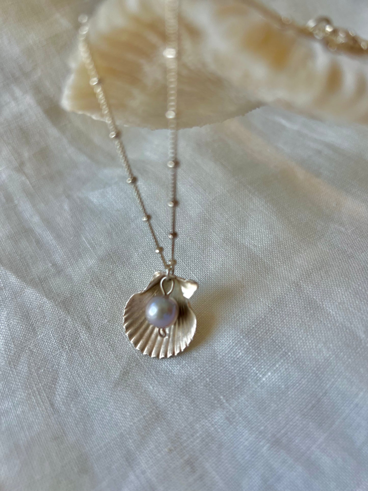 Pearl & Seashell