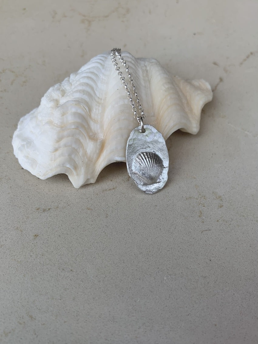 The shell coin