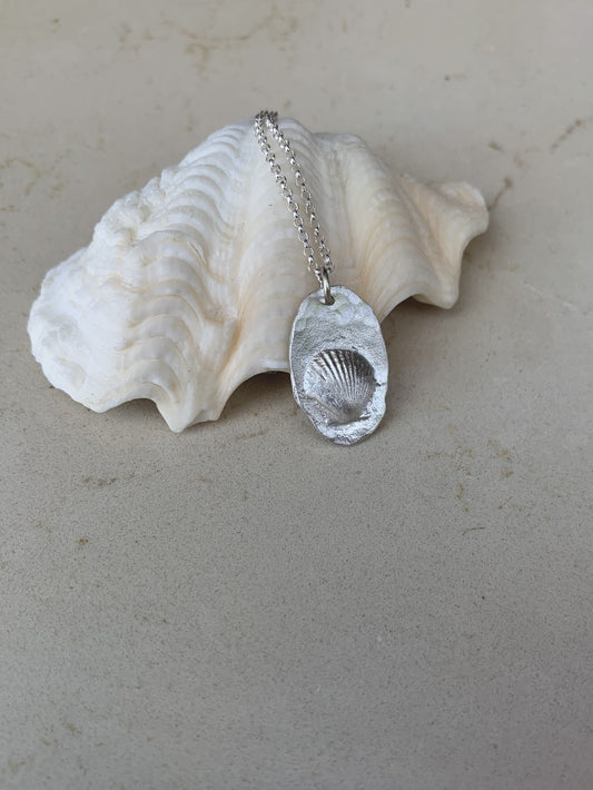 The shell coin