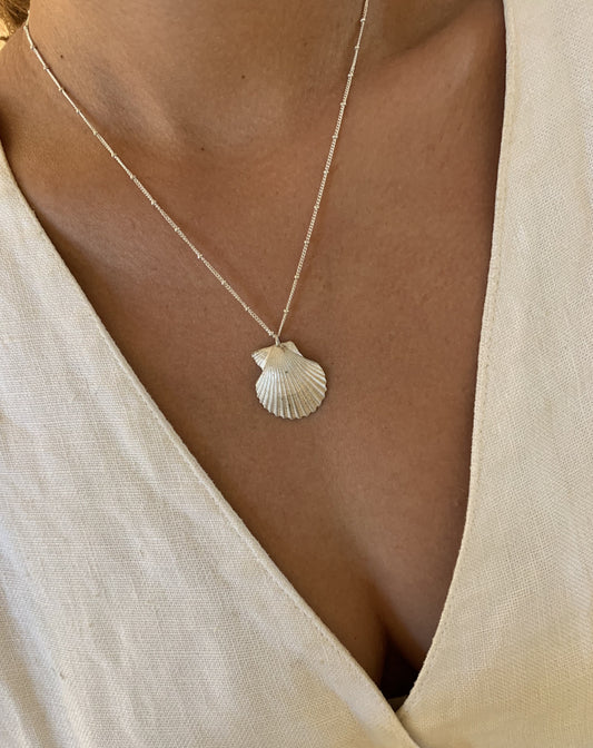 Clam Silver Seashell