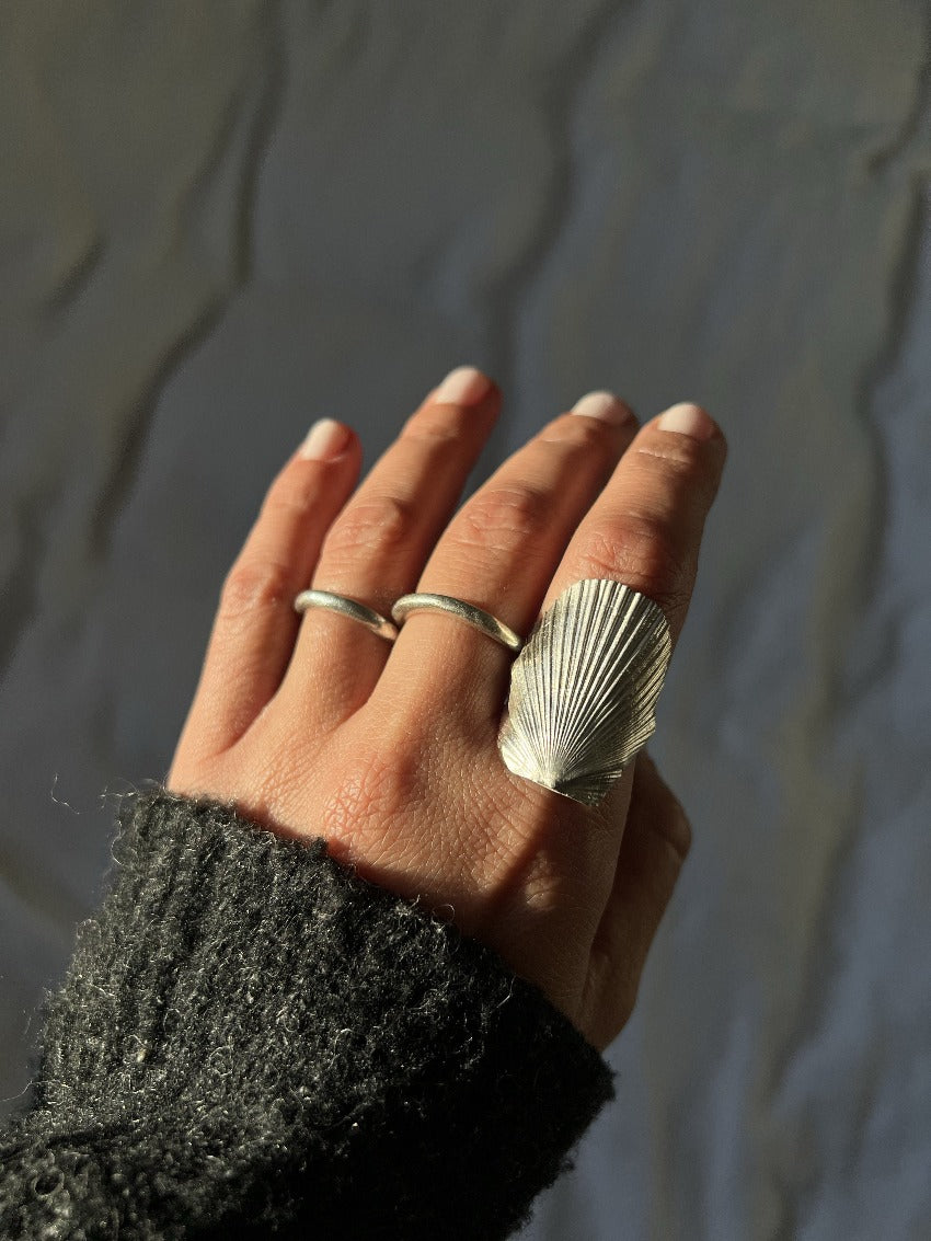 Queen Mexican Seashell