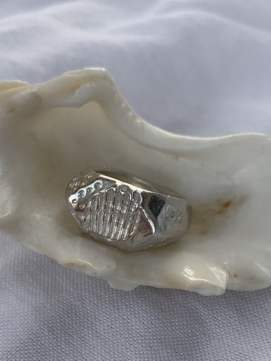 Pattern shell Ring