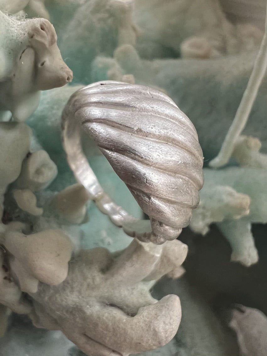 Shell Ring