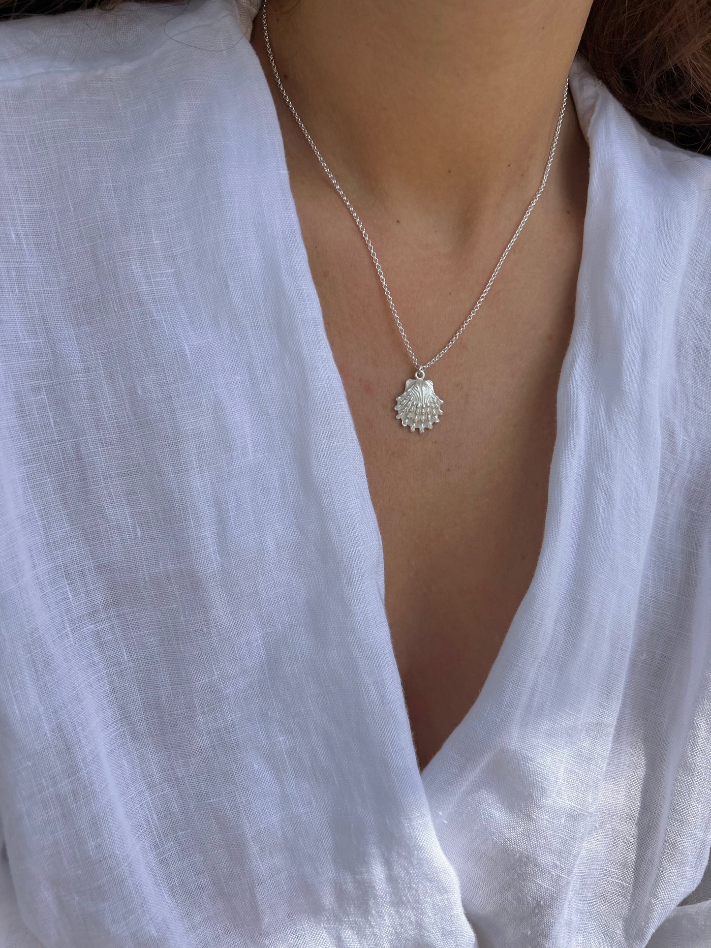 Kauai Seashell