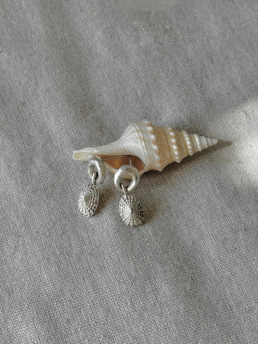 Stone with seashell