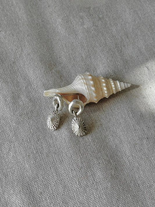 Stone with seashell