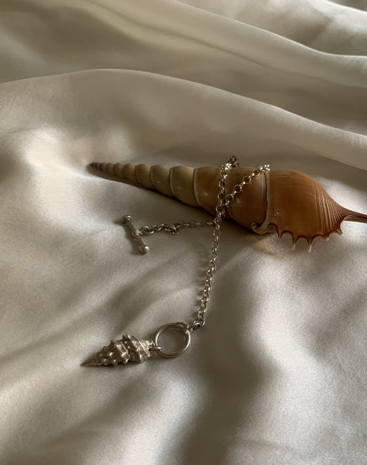 Conch chunky