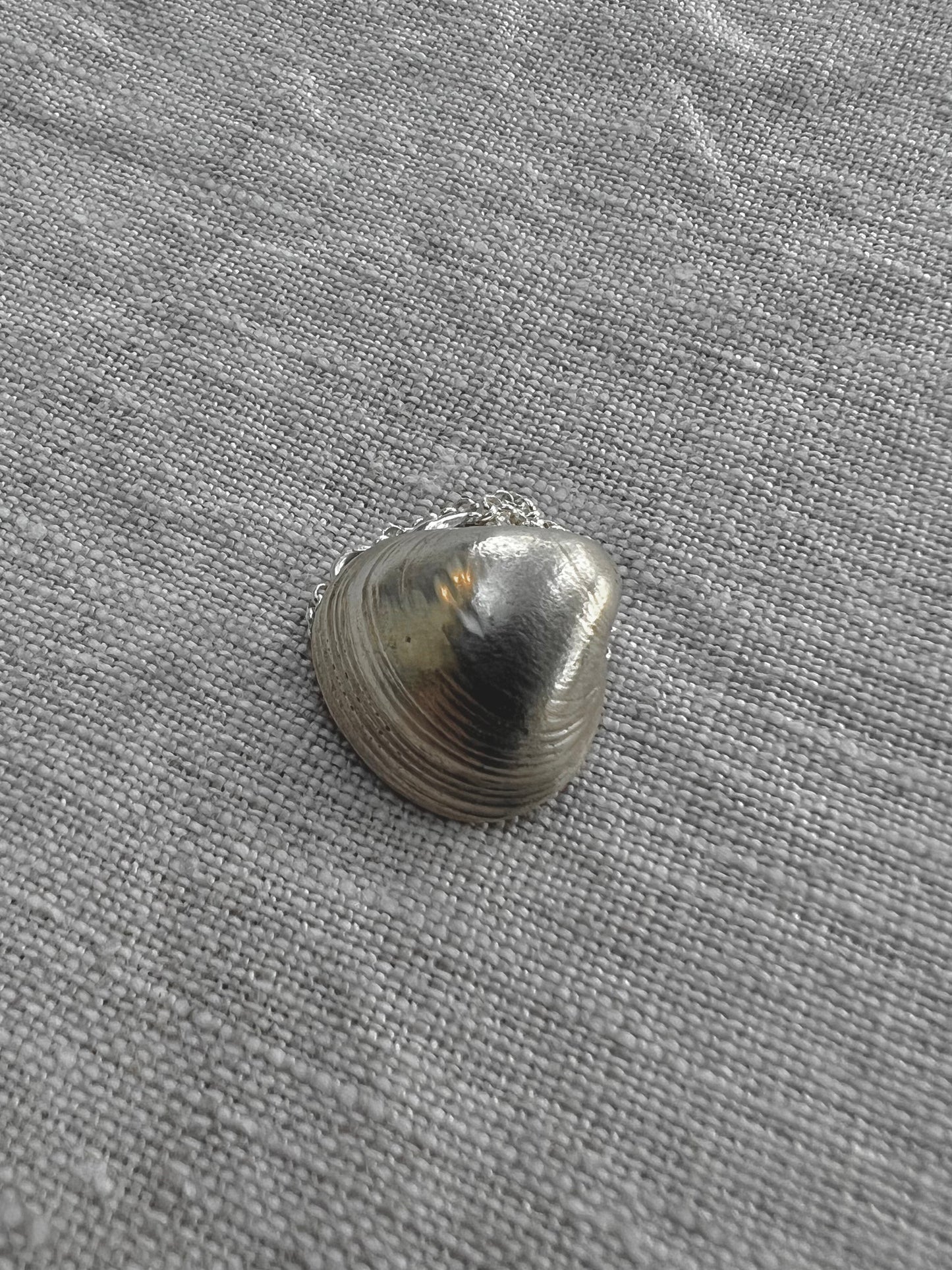 No°7 shell
