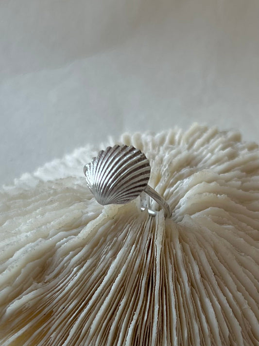 Israeli Seashell Ring