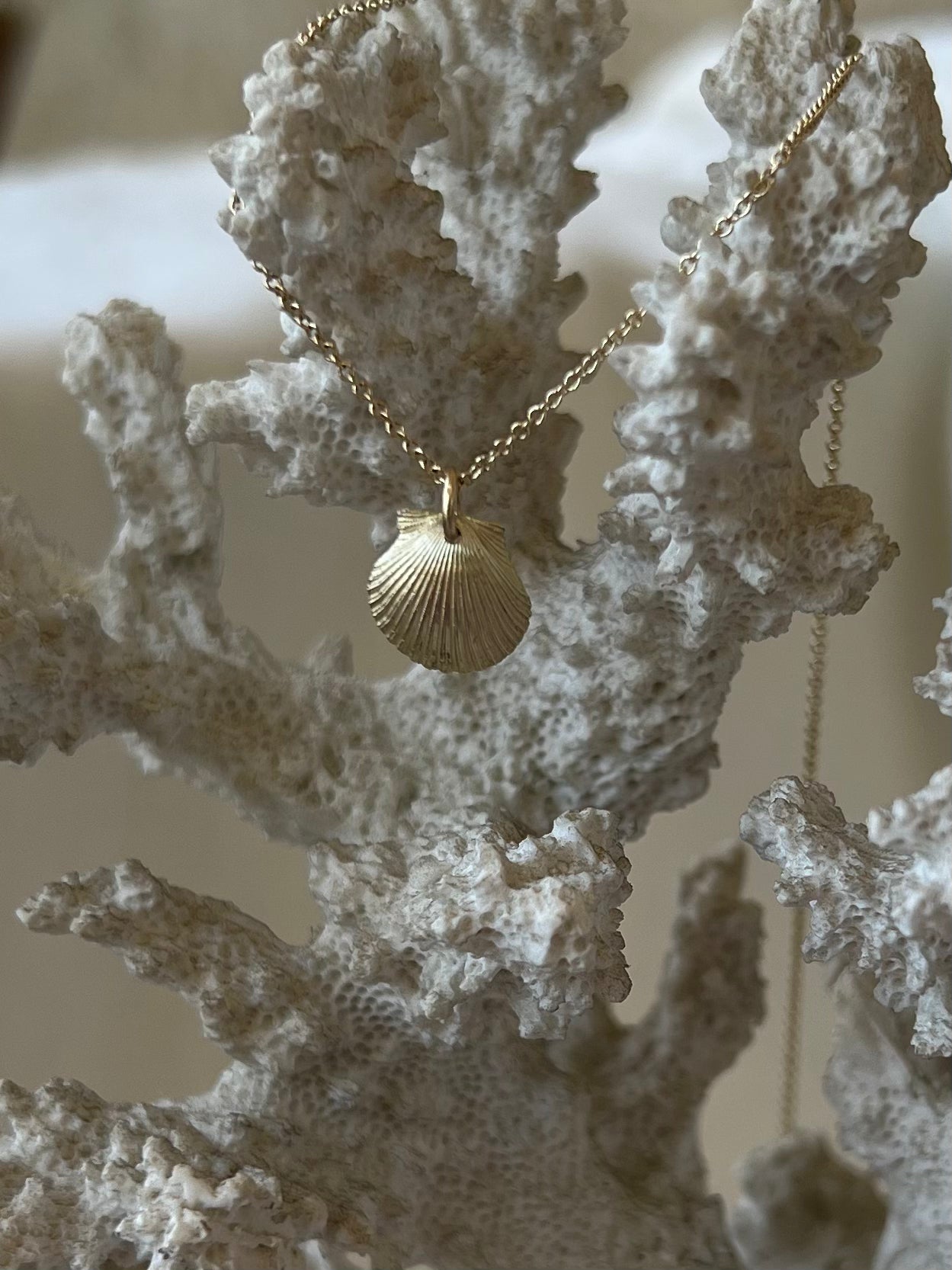 Naama seashell gold